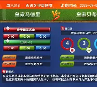 爱游戏官网网页版入口-重磅！皇家马德里窗口期状态回暖布莱顿迎CBA季后赛关键赛，浙江稠州关键时刻防线松动
